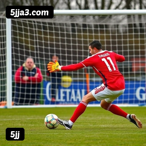 Níveis do programa VIP da 5jj